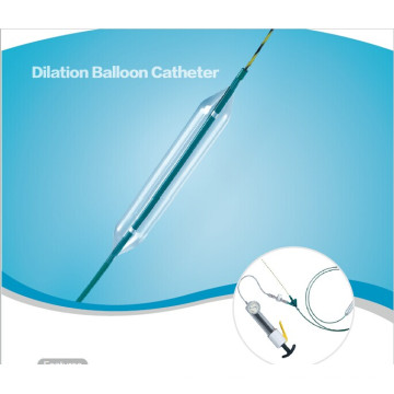 Single Use Esophageal Dilation Balloon